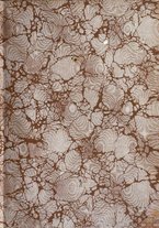 giornale/UFI0147478/1908/unico/00000003