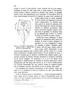 giornale/UFI0147478/1908/unico/00000320