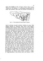 giornale/UFI0147478/1909/unico/00000031