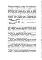giornale/UFI0147478/1909/unico/00000034