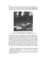 giornale/UFI0147478/1909/unico/00000148