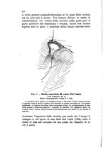 giornale/UFI0147478/1909/unico/00000246