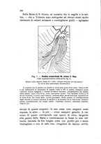 giornale/UFI0147478/1909/unico/00000254