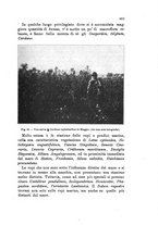 giornale/UFI0147478/1909/unico/00000661