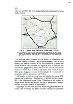 giornale/UFI0147478/1911/unico/00000306