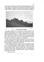 giornale/UFI0147478/1912/unico/00000567