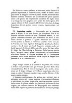 giornale/UFI0147478/1916/unico/00000207