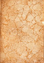 giornale/UFI0147478/1922/unico/00000003