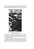 giornale/UFI0147478/1934/unico/00000199