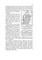 giornale/UFI0147478/1937/unico/00000079