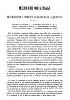 giornale/UFI0312202/1882/unico/00000223