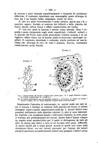 L' orosi bollettino di chimica, farmacia e scienze affini