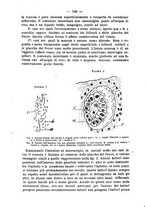 giornale/UFI0312202/1884/unico/00000356