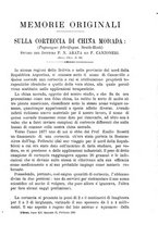 giornale/UFI0312202/1889/unico/00000049