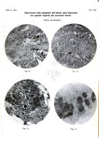 giornale/UM10002921/1926/v.2/00000049