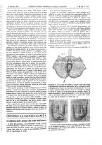 giornale/UM10002936/1894/unico/00000239