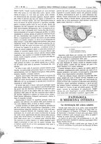 giornale/UM10002936/1894/unico/00000724