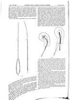 giornale/UM10002936/1894/unico/00000924