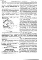 giornale/UM10002936/1894/unico/00001121