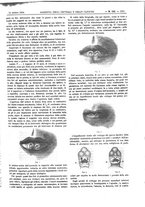 giornale/UM10002936/1894/unico/00001331