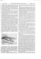 giornale/UM10002936/1894/unico/00001403