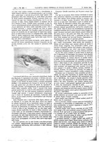 giornale/UM10002936/1894/unico/00001404