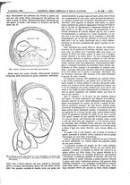 giornale/UM10002936/1894/unico/00001591