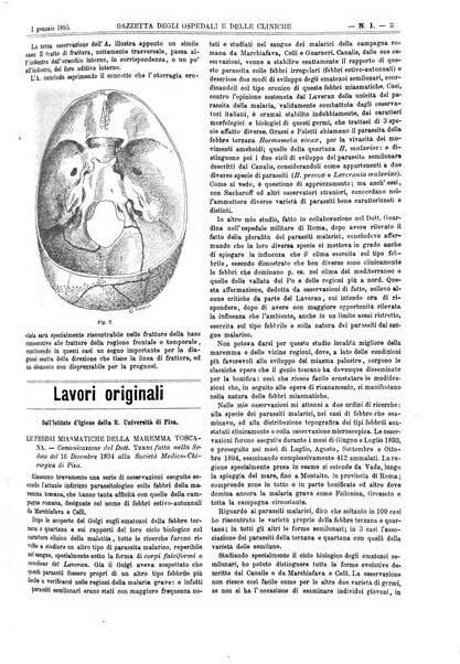 Gazzetta degli ospedali e delle cliniche