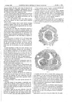giornale/UM10002936/1895/unico/00000329