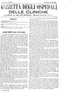 giornale/UM10002936/1895/unico/00000455