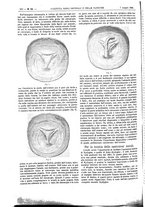 giornale/UM10002936/1895/unico/00000874