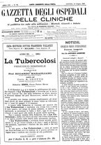 giornale/UM10002936/1895/unico/00001121