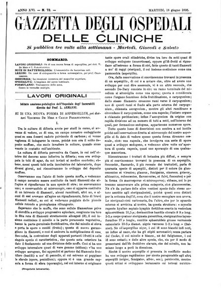 Gazzetta degli ospedali e delle cliniche