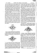 giornale/UM10002936/1895/unico/00001990