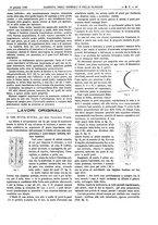 giornale/UM10002936/1896/V.17.1/00000081