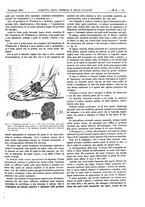 giornale/UM10002936/1896/V.17.1/00000095