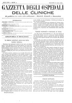 giornale/UM10002936/1896/V.17.2/00000107