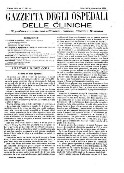 Gazzetta degli ospedali e delle cliniche