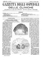 giornale/UM10002936/1896/V.17.2/00000795