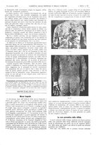 giornale/UM10002936/1897/unico/00000137