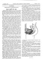 giornale/UM10002936/1899/V.20.1/00000171