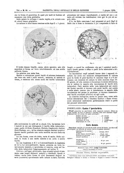 Gazzetta degli ospedali e delle cliniche