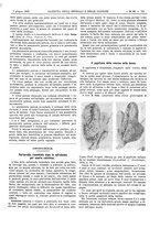 giornale/UM10002936/1899/V.20.1/00000755