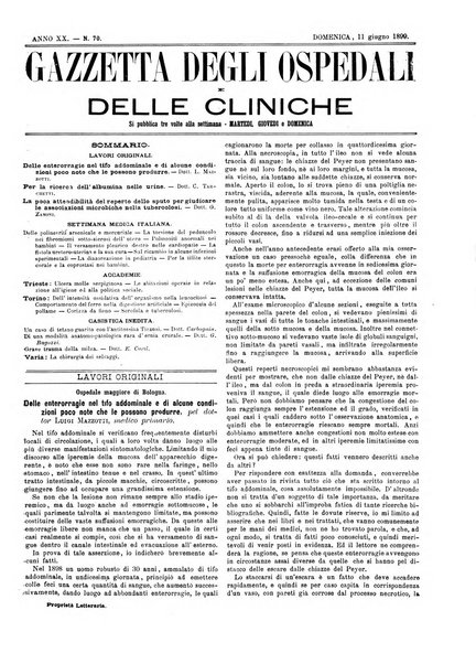 Gazzetta degli ospedali e delle cliniche