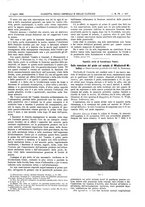 giornale/UM10002936/1899/V.20.2/00000023