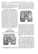giornale/UM10002936/1899/V.20.2/00000081