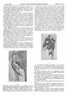 giornale/UM10002936/1899/V.20.2/00000169