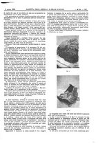 giornale/UM10002936/1899/V.20.2/00000183