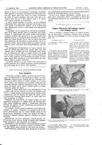 giornale/UM10002936/1900/V.21.2/00000667