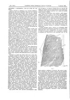 giornale/UM10002936/1901/V.22.1/00000056